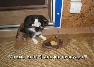 Прикрепленное изображение: 10.jpg